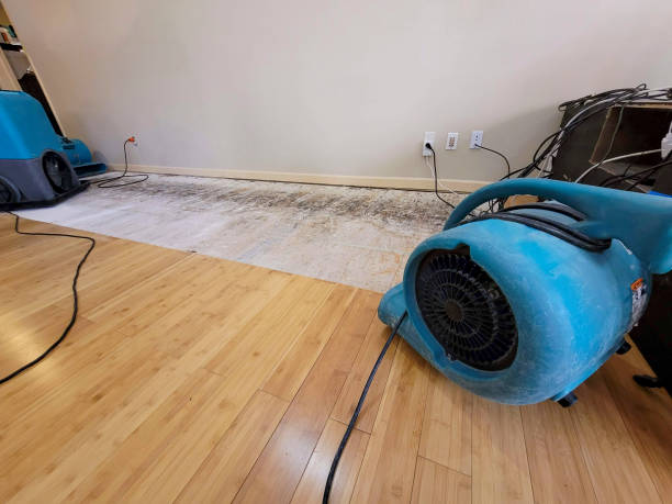 Professional Structural Drying technician working in Wheelwright, MA